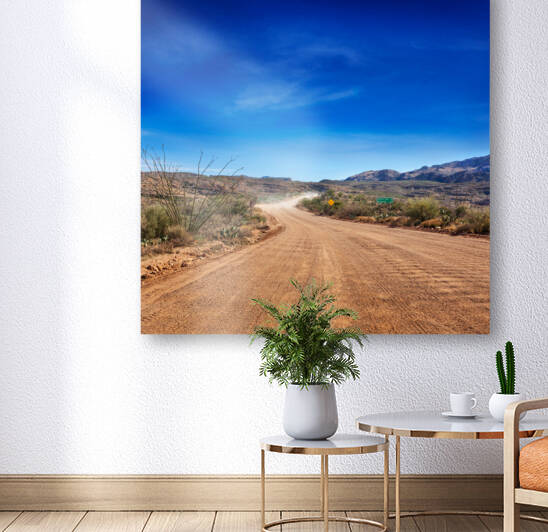 Apache Trail dirt road by Jo Ann Snover