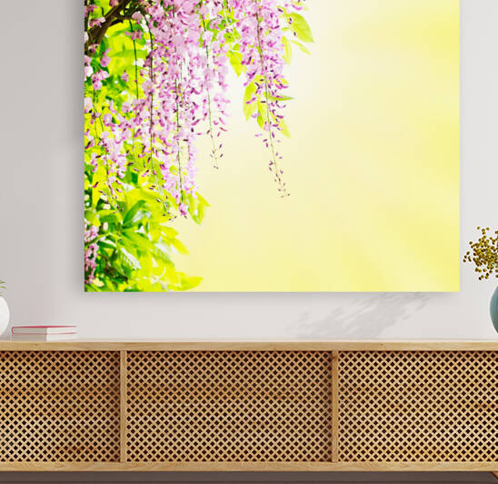 Wisteria blossoming Reproduction