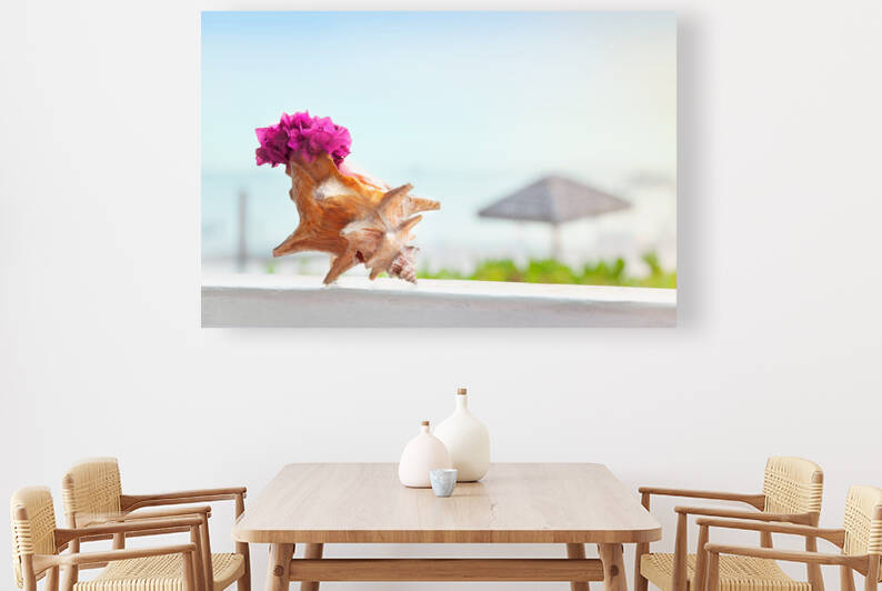 Bougainvillea in conch shell by Jo Ann Snover