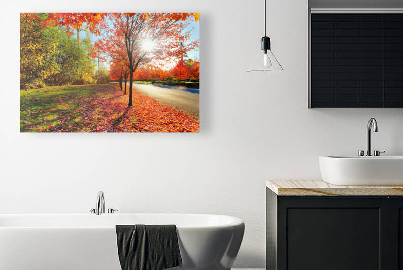 Firey fall colors by Jo Ann Snover