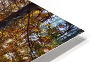 Sun going down in forest HD Metal print