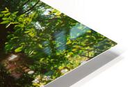 Concord river bridge 2020 HD Metal print