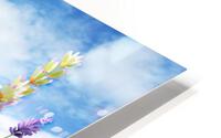 Busy bee HD Metal print