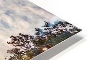 Dramatic Summer sunrise on lake HD Metal print