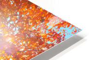 Sun through fall maple leaves HD Metal print
