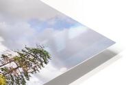Small Kent farm HD Metal print