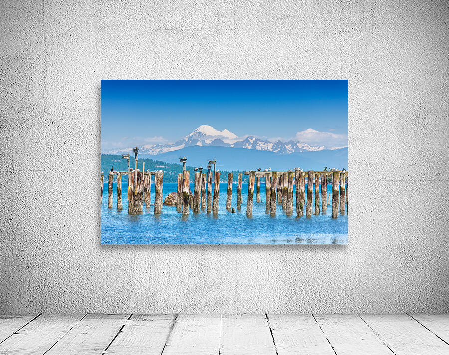 Birdboxes on old pilings Wall Preview