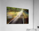 Long Road Acrylic Print