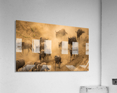Organized Chaos Acrylic Print