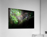 Leopard & Tree Acrylic Print