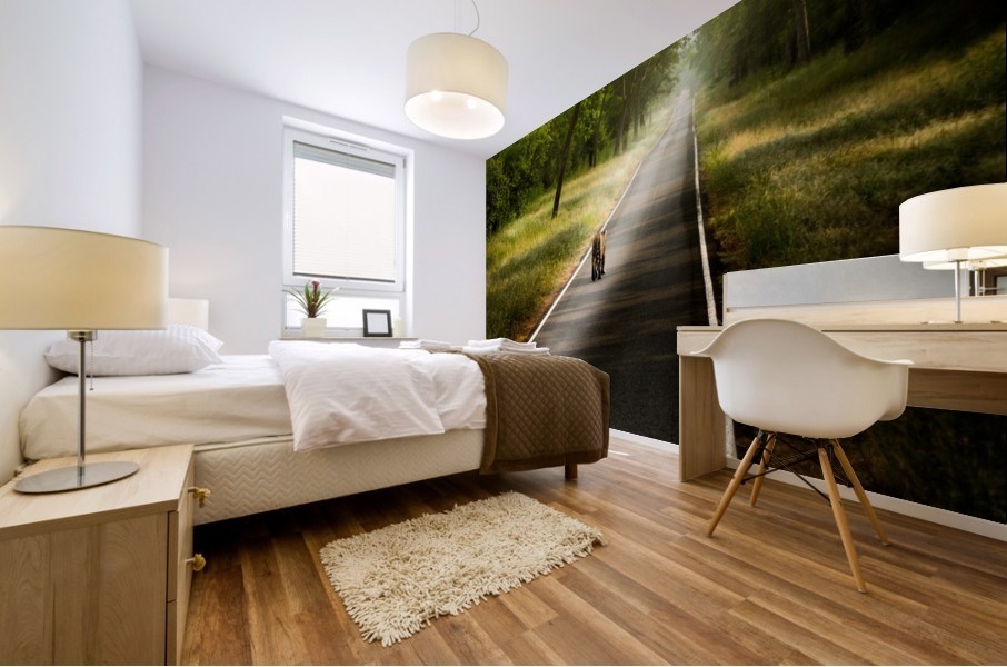 Long Road Mural print