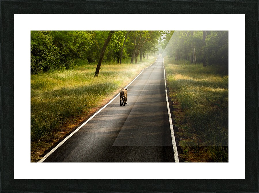 Long Road Picture Frame print