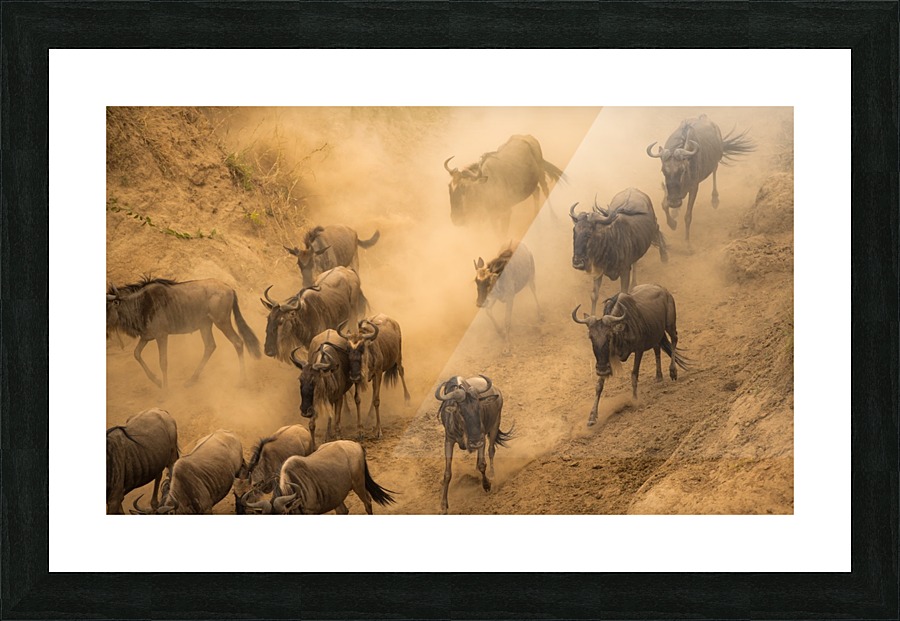 Organized Chaos Picture Frame print