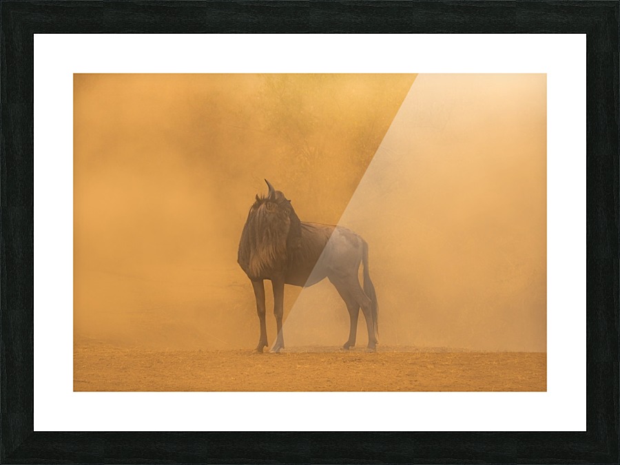 Aftermath Picture Frame print