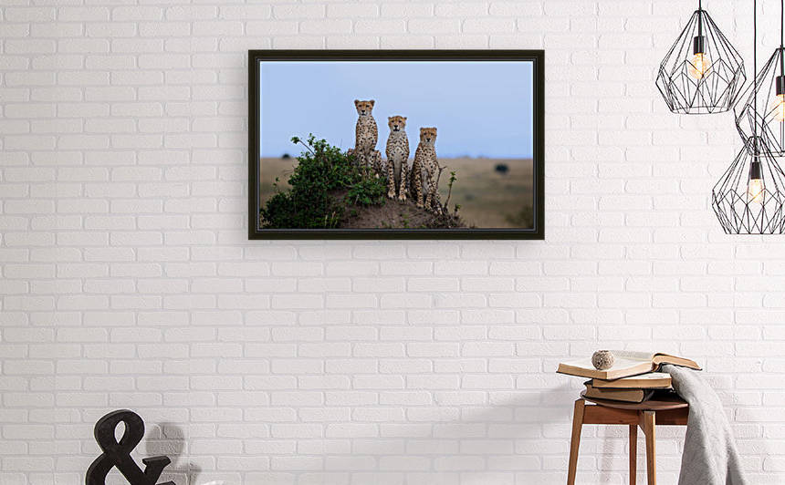 Cheetah Family by Gurdyal Singh