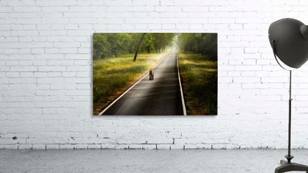 Long Road Wall Preview