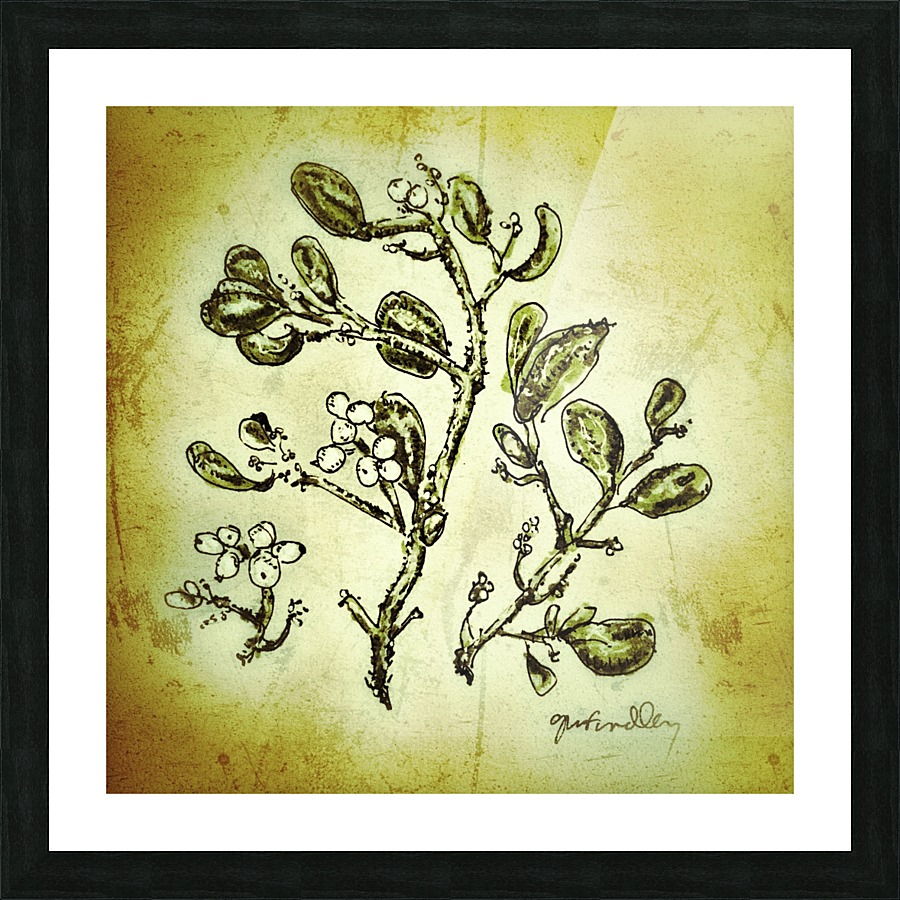 Mistletoe Picture Frame print