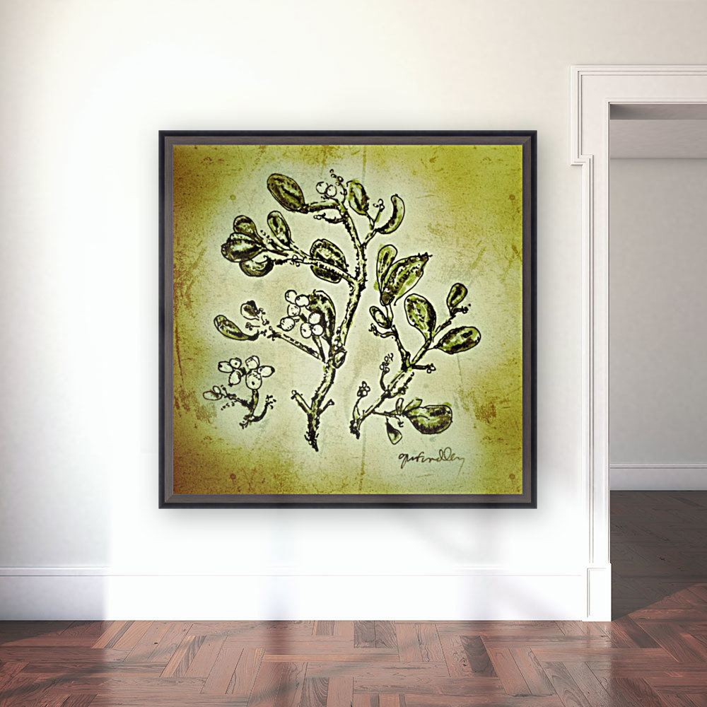 Mistletoe Reproduction