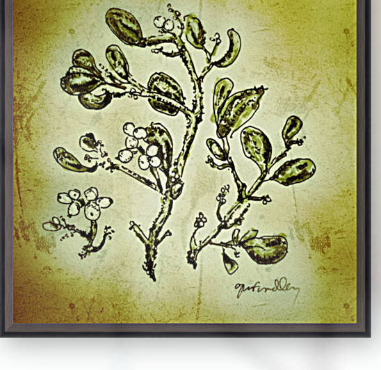 Mistletoe by Gerri Findley