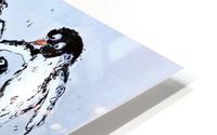 Penguins HD Metal print