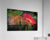 Two Flowers Acrylic Print