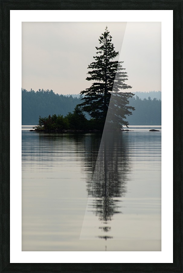 Lonely Tree Picture Frame print