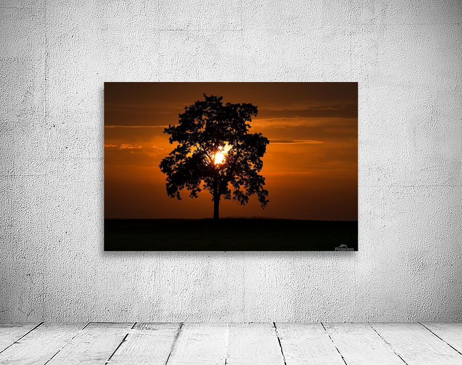 St. Georges Tree Wall Preview