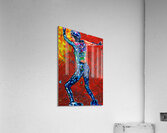 Free Skates Acrylic Print
