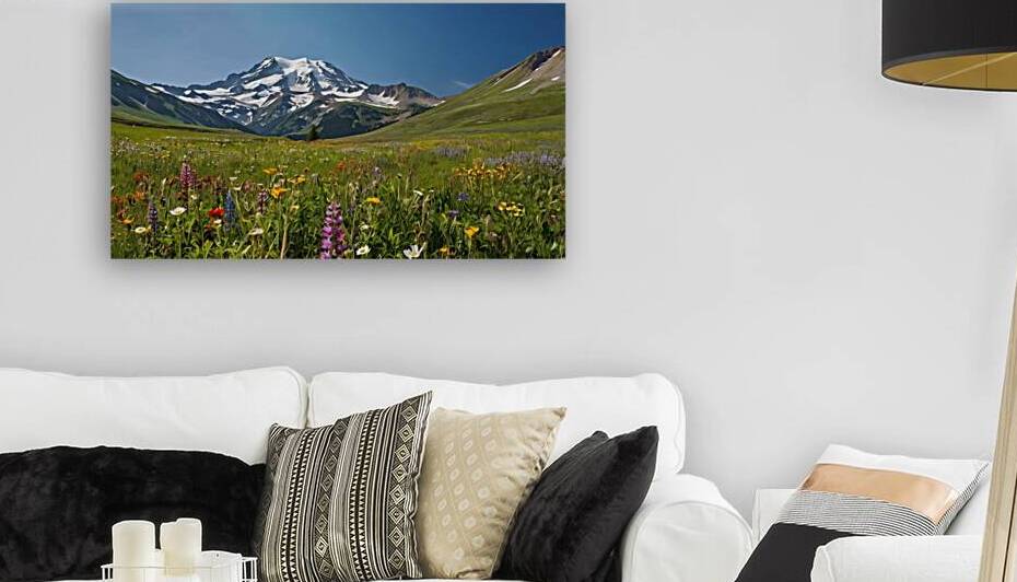 Blooming Tranquility: A Meadow Awash in Springs Colors by Digi Mart