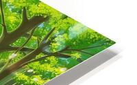 Lush Forest Path in Spring HD Metal print