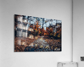 Fall has arrived  Acrylic Print