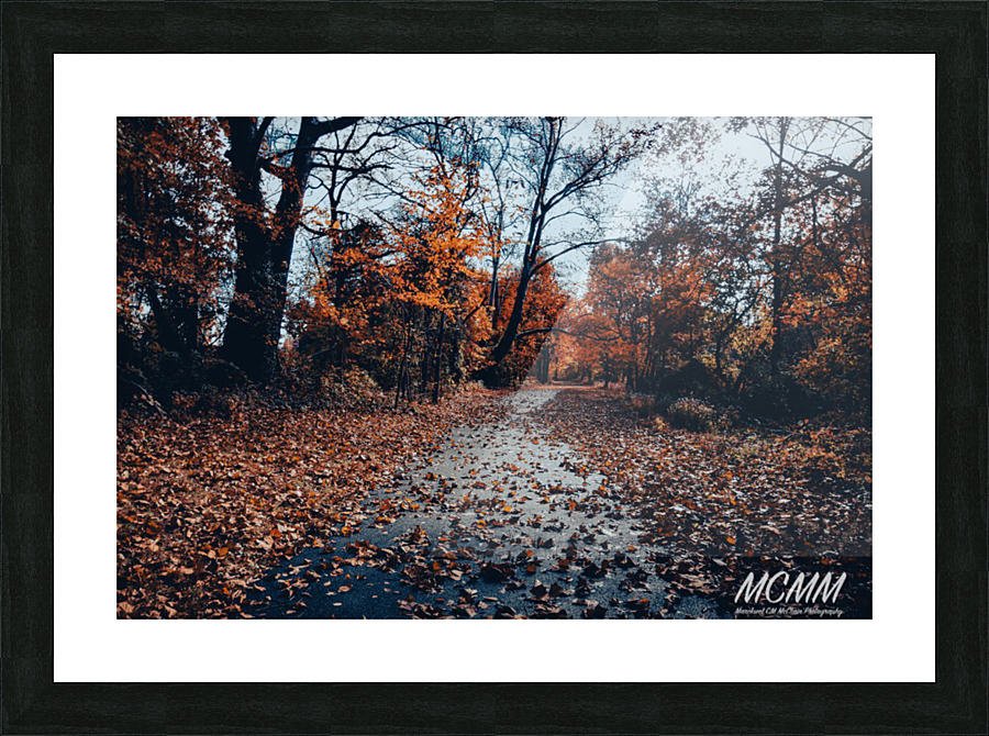 Fall has arrived  Picture Frame print