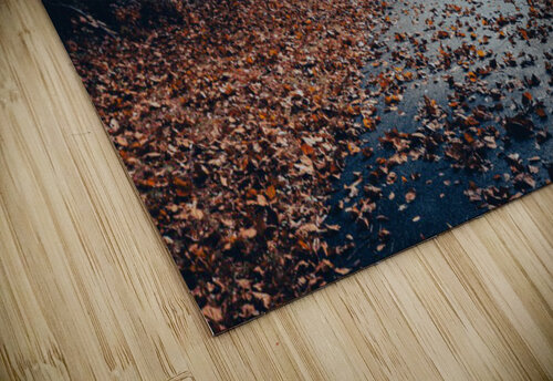 Fall has arrived  Marckwel CM McClain puzzle
