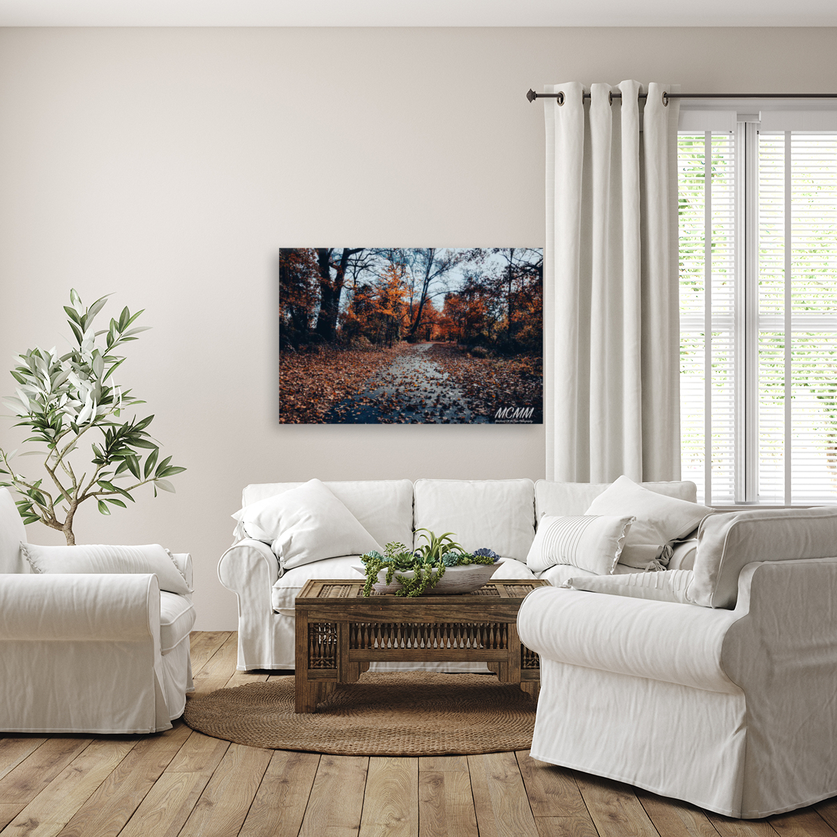 Fall has arrived  Reproduction