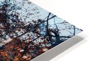 Fall has arrived  HD Metal print