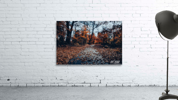 Fall has arrived  Wall Preview