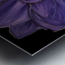Purple petals Metal print