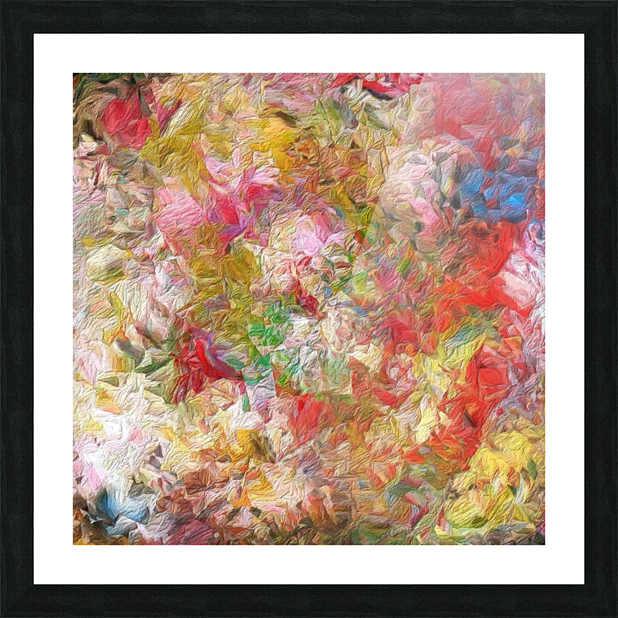 Rocky Feathers Picture Frame print