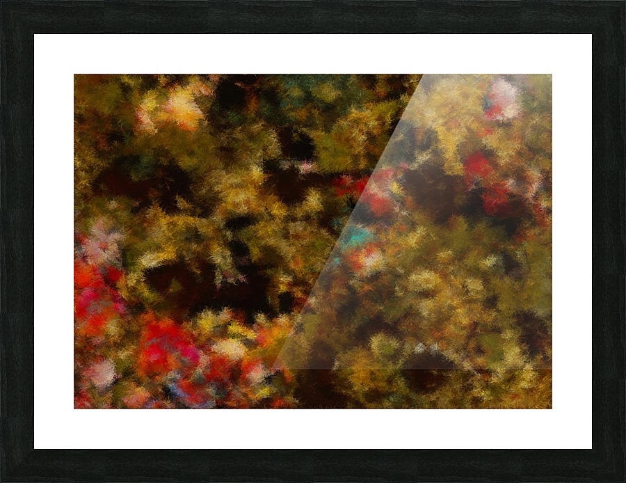 Forest by Night I Picture Frame print