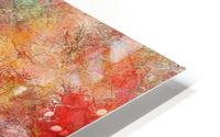 Passione HD Metal print