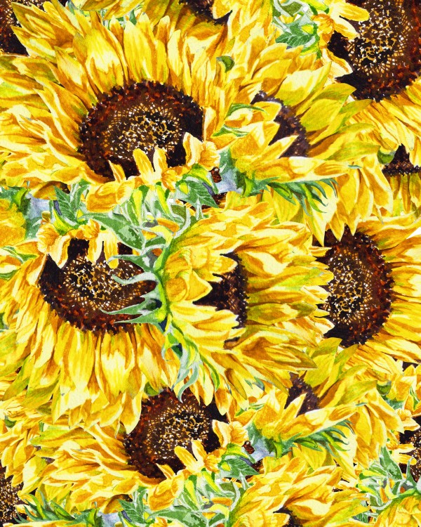 The Field Of Watercolor Sunflowers Pattern Digital Download