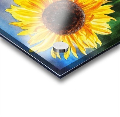 Two Suns Two Sunflowers Acrylic print