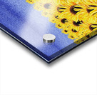 Sunflowers Field Acrylic print
