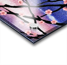 Cherry Blossoms Acrylic print