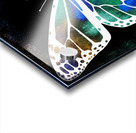 Butterfly 1 12 Acrylic print