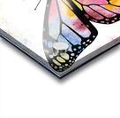 Butterfly 6 Rainbow Acrylic print
