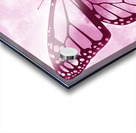 1 Butterflies 27 Acrylic print