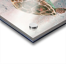 Turtle 115 Acrylic print