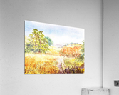 Fall Landscape Acrylic Print