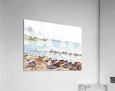 Crab Cove Alameda California Acrylic Print